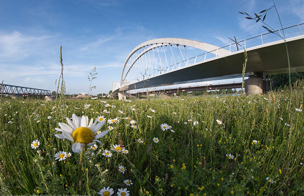 Projekt Klimaplan 2030